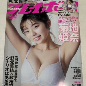 週刊プレイボーイ ２０２４年３月２５日号（新品・未開封DVD付き）