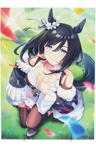 一番くじ ウマ娘 プリティーダービー 8弾 E賞 エイシンフラッシュ