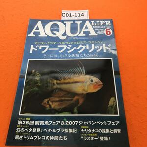 C01-114 Monthly Aqua Life 2007/6 Dwarf Cichrid, Декоративная рыбная ярмарка и Японская ярмарка домашних животных, Phantom Discover! Бетта Лебла Примечания к коллекции