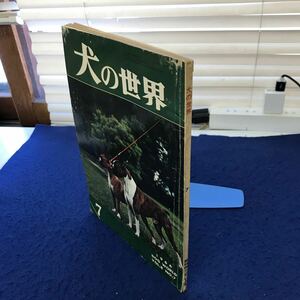 C05-019 犬の世界 昭和四十一年七月号 ローヤル パブリッシング カンパニー 擦れ、破れ、折れ等あり