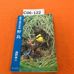 C06-122 原色・自然の手帖 野鳥 高野伸ニ 著 講談社