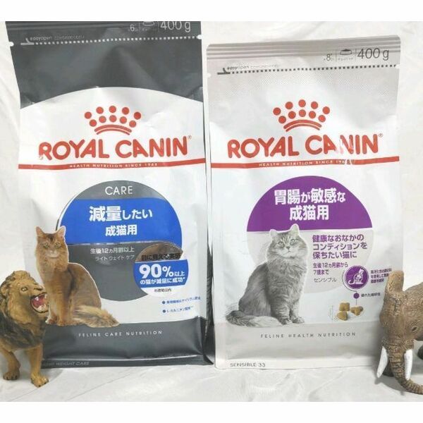 限定 ロイヤルカナン 猫 キャットフード 食が細く痩せ気味　と　減量　したい成猫用　#鍵しっぽネコの森キャットフード