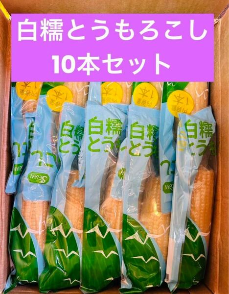 もちもち白糯玉米 白糯とうもろこし軸付き 真空パック 白玉米黏玉米10本セット