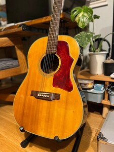 木曽鈴木 KISO SUZUKI ジャパンヴィンテージ FR-180 B-25 (LG) タイプ Gibsonタイプ 厚手ピックガード交換