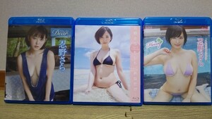 忍野さら DVD BD dear　サイン入りチェキ付