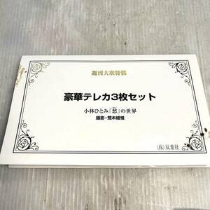 未使用 小林ひとみ 週刊大衆特製 「愁」の世界 豪華テレカ3枚セット セクシーテレカ 50度数 (B3329)