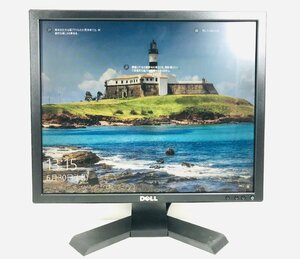 *19 inch liquid crystal monitor *DELL*E190Sb operation goods *