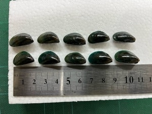  чёрный морской лещ для зеленый кроме Mini ( маленький )10 шт. комплект 