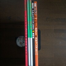 ゴング1985年12月号　1986年3,6,7,8,9月号　1982年8,10月号増刊　その他プロレス関連本9冊　全17冊セット_画像6