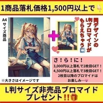 ner1 [おまけあり] A4サイズ ポスター 同人 アニメ ファンアート 写真 高画質 クイーンスフレイト ナナエル_画像2