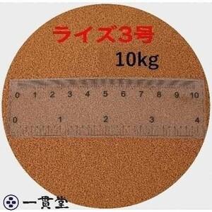 日清丸紅飼料ライズ3号 10kg (5kg×2袋） (粒径0.36～0.65mm) メダカ めだか エサ 餌 おとひめ ハイグロウ リッチ 送料無料