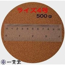 ライズ4号 500g (粒径0.58～0.84mm) 日清丸紅飼料 小分け品 メダカ めだか エサ 餌 送料無料_画像1