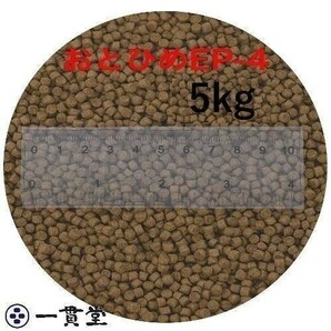 おとひめEP4(約3.4mm～約4.0mm) 5kg(500g×10袋) 沈降性(沈下性) 日清丸紅飼料 金魚 アロワナ 肉食魚に 倉出し  10002352の画像1