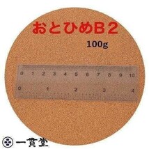 おとひめB2 100g (0.36～0.62mm)　沈降性　めだかのエサ　メダカ餌　送料無料 金魚　小分け品_画像1