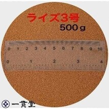 ライズ3号 500g(500g×1袋） 小分け品 メダカ めだか エサ 餌 おとひめ ハイグロウ リッチ 送料無料_画像1