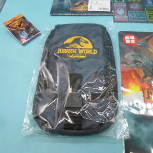 ya0308/11/29 JURASSICWORLD 新たなる支配者 グッズセット まとめ売り ショルダーポーチ ペンダント ミニクリアファイル ステッカー の画像5