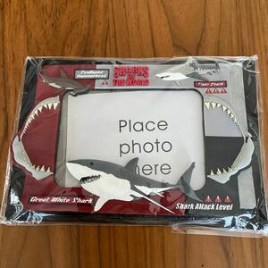 SHARKS OF THE WORLD フォトフレーム3wayタイプ　　　【マグネットタイプ.スタンドタイプ.壁掛けタイプ】