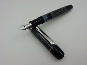 未使用品？Pelikan ペリカン 101N リザード 万年筆 14Kペン先 M 1