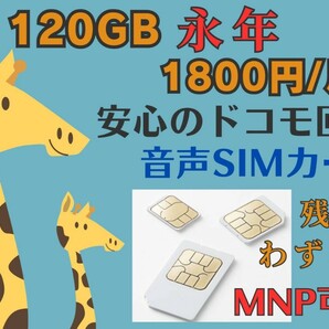 格安SIM 120GB 1800円/月 音声SIM 安心のdocomo回線 MNP可能 期間限定 キャンペーン中のみお申込み可能 格安シム SIMカード SIMフリーの画像1