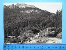 (A44)341 写真 古写真 電車 鉄道 鉄道写真 札幌 定山渓鉄道 7001 昭和39年8月9日 豊滝-滝の沢 裏面の糊跡が一部ゴム状になっています_画像1