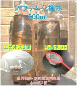 ゾウリムシ種水300ml　エビオス3錠・ゾウリムシのろ過ネット1個セット