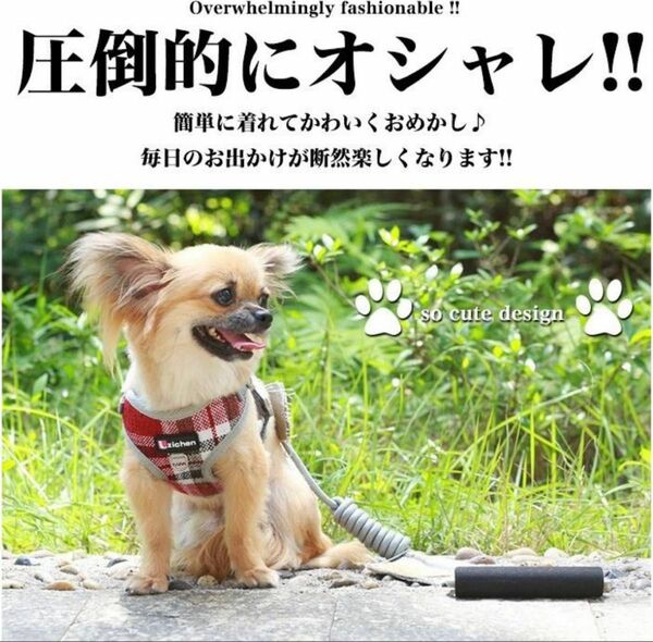 犬用ハーネスMサイズ　リード付き