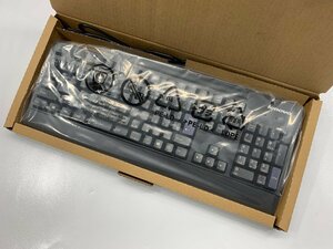 Lenovo USB keyboard (JIS) SK-8825 [Etc]