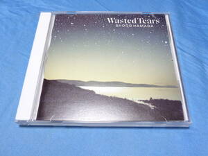 浜田省吾 WASTED TEARS　 CD /　LONELY~愛という約束事・もうひとつの土曜日・防波堤の上・等10曲　32DH5269　　