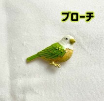 ブローチ 鳥 インコ グリーン ピン 小さい 帯留め かわいい おしゃれ 人気_画像1