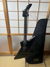 ESP エクスプローラー　MX250 explorer メタリカ　_画像1