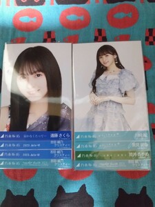 乃木坂46 生写真 おひとりさま天国 人は夢を二度見る 届かなくたって、他（WEB商品）まとめ売り8枚。遠藤、川﨑、筒井、他。(ダブリ無し) 