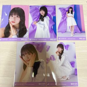 乃木坂46 生写真 12thAnniversary アニバ 菅原咲月 5期生 5種コンプ 