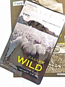 【やずや】にんにく卵黄WILD・スッポン・マカ粉末　62球本物だけをあなたに【新品未使用】【即日配送】