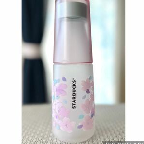 Starbucks SAKURA 2019 クレイプボトル ブロッサム スターバックス