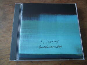 9mm Parabellum Bullet/Dawning