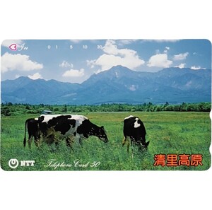 Киёсато Коген Неиспользованная телека 50 градусов Пейзаж Визитная карточка Префектура Яманаси Ранчо Яцугатакэ