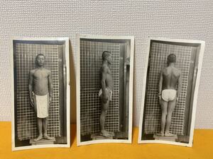 希少 大東亜戦争 徴兵 身体検査 古写真 3枚 日本軍 陸軍 海軍 航空隊 昭和18年9月15日