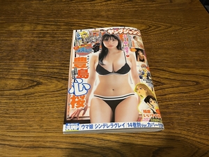 週刊ヤングジャンプ№16　3月21日発売　豊島心桜　田村愛美鈴　田畑志真　美本