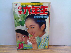 my31【小学六年生1970/10】「ニューギニアを行く」川崎のぼる川崎三枝子横山まさみち花村えい子佐川節子赤塚不二夫鈴原研一郎