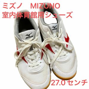 ミズノMIZUNO 室内用体育館用　シューズ