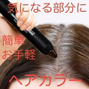 送料無料 ヘアカラー ブラック 簡単お手軽 部分染め 白髪染 ヘアケア カラーリング