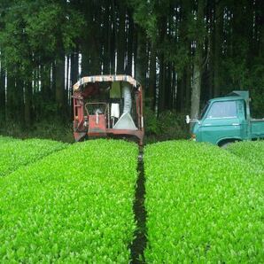 あさぎり翠100g＋あさぎり紅茶70g＋あさぎりほうじ茶90g 茶農家直売 無農薬・無化学肥料栽培 シングルオリジンの画像9