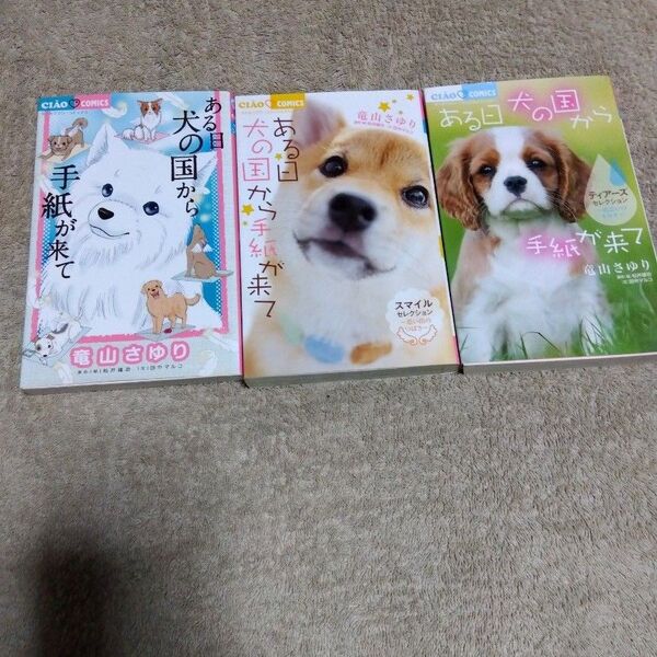 ある日犬の国から手紙が来て 竜山さゆり 3冊セット