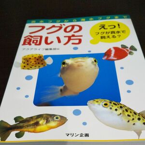 フグの飼い方　淡水フグから海水フグまで　えっ！フグが真水で飼える？ （淡水フグから海水フグまで） アクアライフ編集部／編