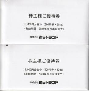 最新 ホットランド 株主優待券 30000円分(500円券x60枚) 銀だこ 2024/9/30迄　送料込