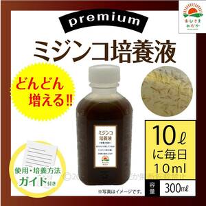 かんたん【ミジンコ培養液300ml】アクアリウム錦鯉金魚熱帯魚ゾウリムシみじんこめだかタマミジンコ オオミジンコ PSBとクロレラ併用可