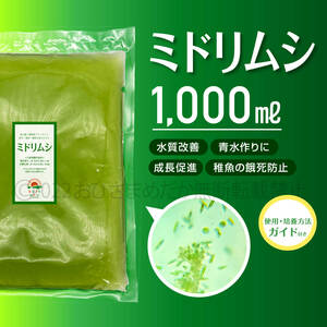 餓死防止★ミドリムシ　1000ml★　めだか　メダカ　針子　エサ 稚魚 幼魚　psb　 金魚　ミジンコ　クロレラ　ゾウリムシ　など