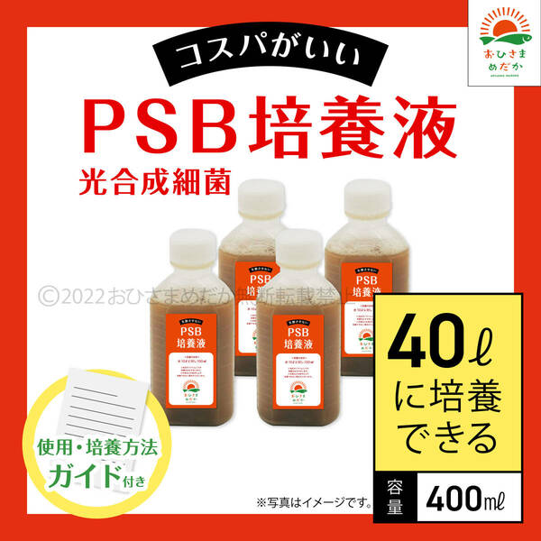 コスパ最強【PSB培養液 400ml　40L培養分　送料無料】光合成細菌　メダカ めだか 金魚 ミジンコ　ゾウリムシ　クロレラ　ミジンコ　に最適