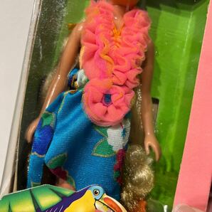 【未開封】マテル SKIPPER Island Fun Barbie 1987年当時物 MATTEL の画像3