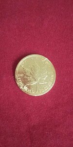  maple leaf gold coin 1/10oz 3.1g K24 original gold 